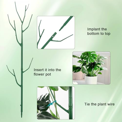 Qaobo 5 Pack Stackable Plant Support Stakes, Climbing Plant Support Structures for Monstera, Pothos, Philodendron Garden Plant Stakes for Indoor Outdoor Plants