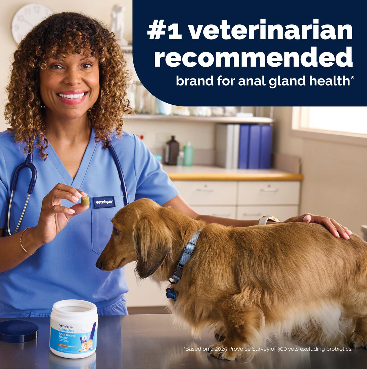 Vetnique Glandex for Dogs Anal Gland Chews 60ct Pumpkin + Digestive Enzymes | Anal Gland Dog Treats, Boot the Scoot + Fishy Odor Support, Fiber, Probiotics, Quercetin + Apple Pectin, Peanut Butter