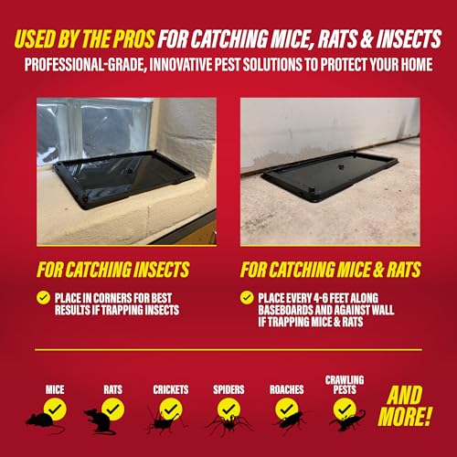 Catchmaster Rat & Mouse Glue Traps 10 Pack, Large Heavy Duty Sticky Traps | Extra Large Glue Trays For Rats, Mice, Snakes & Spiders, Ready To Use Indoor Pest Control For Home, Garage & Basement
