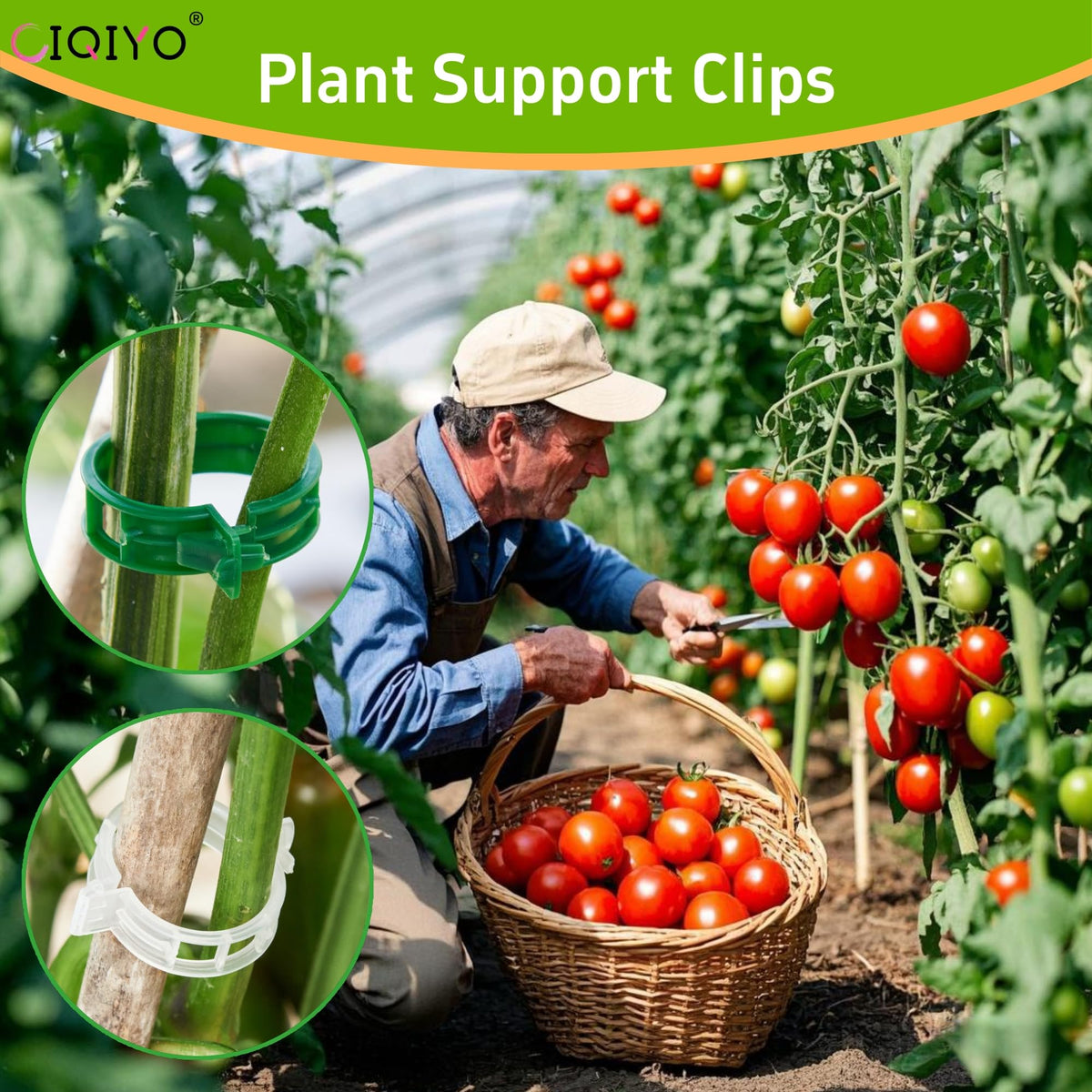 CIQIYO 100 Pcs Plant Support Clips,Plastic Clips for Securing Plants | Plant Fixing Clips,Tomato Vine Clips,Garden Clips for Climbing Plants,Grape and Vine Vegetables,Reusable(100, Green)