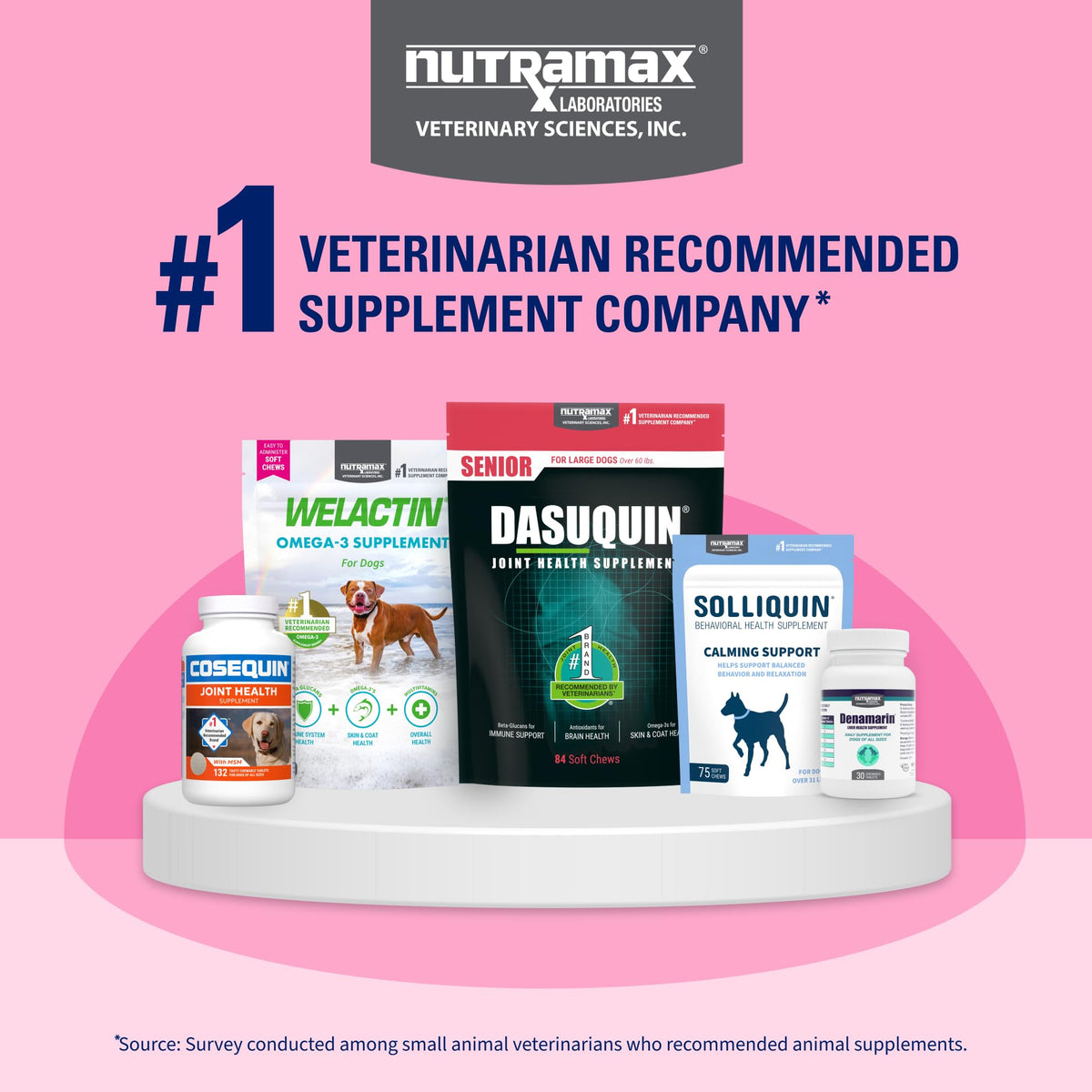 Nutramax Proviable Probiotics for Dogs & Cats, Sprinkle Capsules, 30ct | Probiotics for Cats and Dogs, Plus Prebiotics, Daily Gut Health Support Supplement, Multiple Strains, Sprinkle on Food