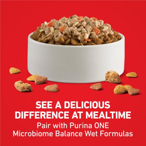 Purina ONE Lamb and Rice Formula Dry Dog Food for Digestive Support | Dog food with real lamb as first ingredient, Microbiome Balanced and prebiotic fiber, supports digestive health