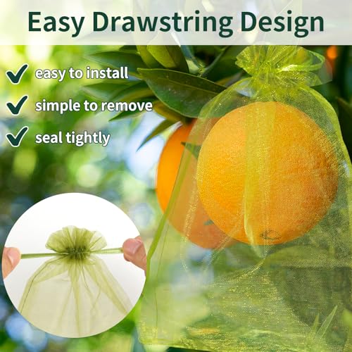 50 Pcs Fruit Protection Bags, 6×9 in Mesh Cover Nets for Tree, Green | Drawstring Netting, Protect Fruits, Dense Fine Mesh, for Vegetables Strawberry Tomato Garden, Reusable and Soft