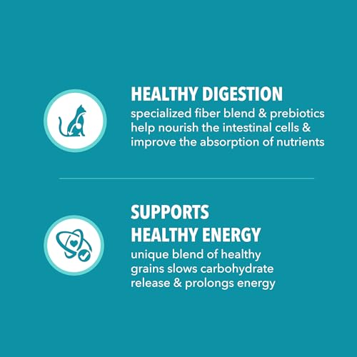 IAMS Proactive Health Indoor Dry Cat Food, Chicken & Turkey, 7 lb | Vet-recommended, Real Chicken #1 Ingredient, Proprietary Fiber Blend, Prebiotics for Healthy Digestion, Hairball Control