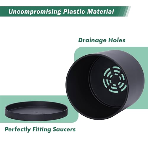 D'vine Dev Plastic Planter Pot with Saucer, 8 in, Black, 74-X-B-1 | Lightweight Matte Finish, Cylinder Shape, Drainage Holes, Sleek Minimalist Design, Detachable Saucer, Easy Maintenance