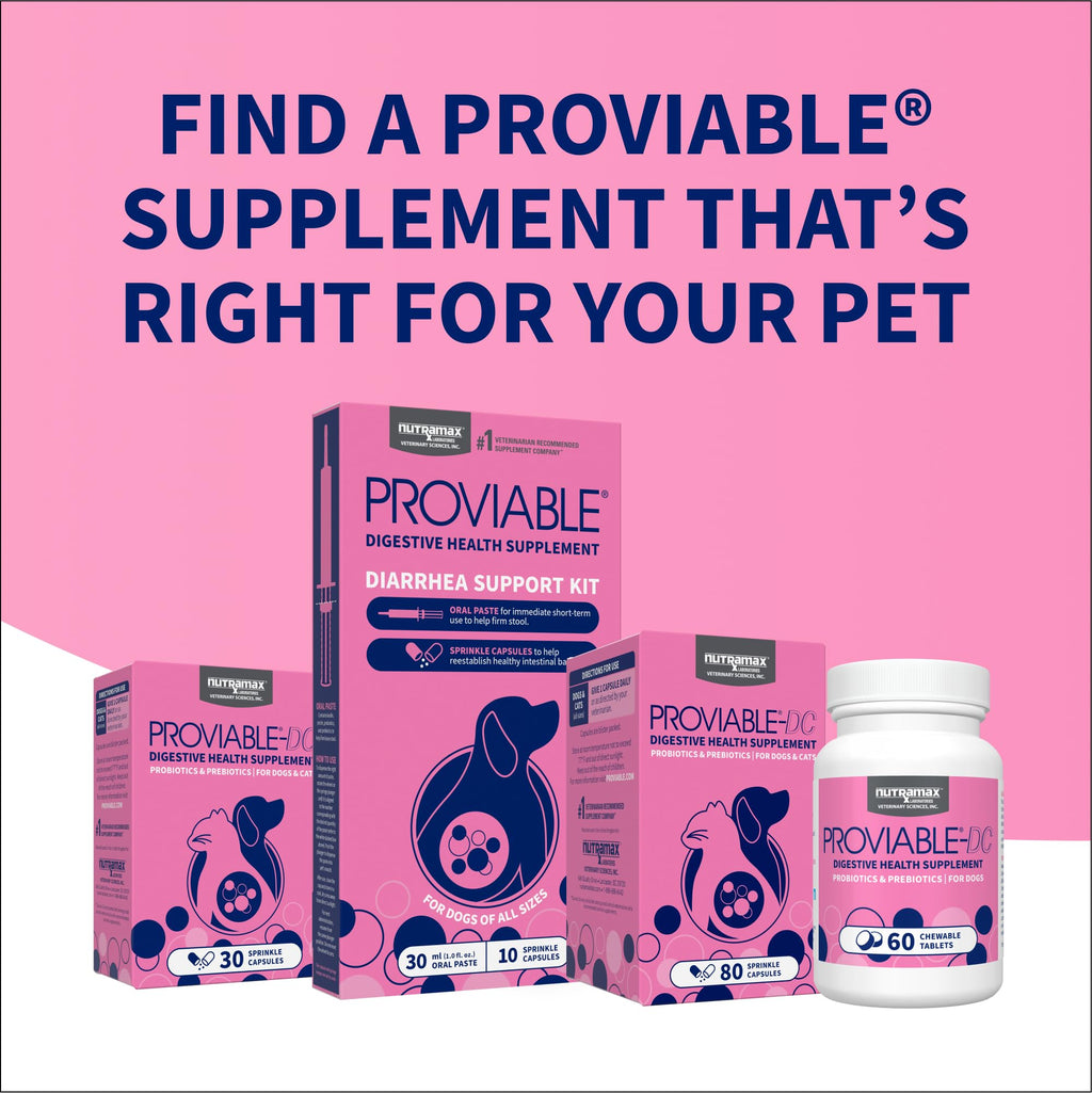 Nutramax Proviable Probiotics for Dogs & Cats, Sprinkle Capsules, 30ct | Probiotics for Cats and Dogs, Plus Prebiotics, Daily Gut Health Support Supplement, Multiple Strains, Sprinkle on Food