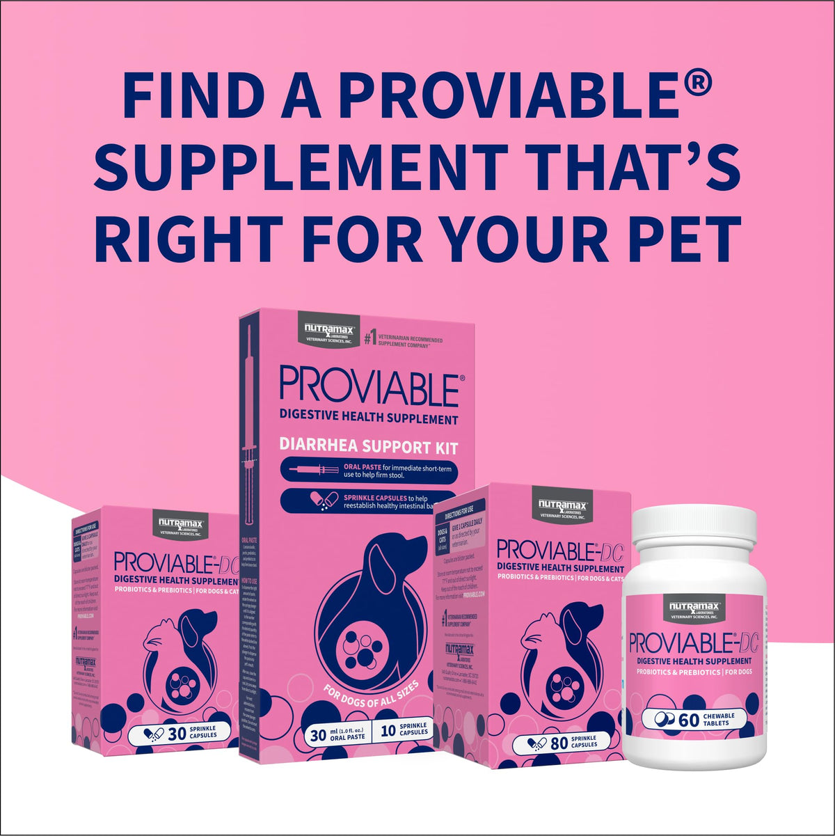 Nutramax Proviable Probiotics for Dogs & Cats, Sprinkle Capsules, 30ct | Probiotics for Cats and Dogs, Plus Prebiotics, Daily Gut Health Support Supplement, Multiple Strains, Sprinkle on Food