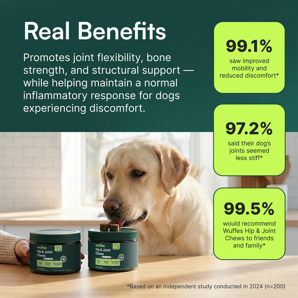 Wuffes Advanced Hip & Joint Chews for Small & Medium Breed Dogs, Vet Recommended, Glucosamine, Chondroitin, MSM, Green-Lipped Mussel & Hyaluronic Acid Supplement, Supports Mobility, 60 Pork Chews
