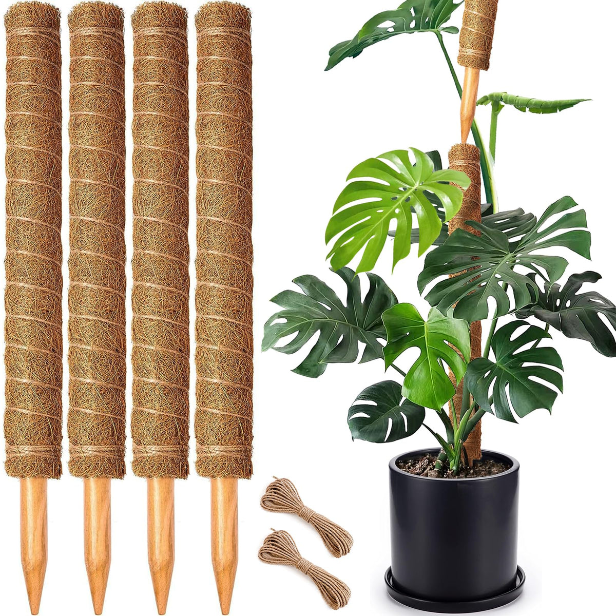 4 Pack 22 Inch Moss Poles, Stackable Moss Pole for Plants Monstera, 70 Inch Tall Moss Poles for Climbing Plants Indoor, Coir Totem Plant Support Stakes Stand for Potted Plants, Pothos