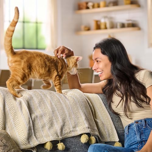 Meow Mix Gravy Bursts Dry Cat Food, 3 lb Bag | Crunchy cat kibble, gravy filled pieces, 100% complete & balanced nutrition