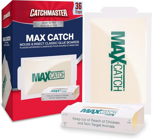 Catchmaster Max-Catch Glue Traps 36pk, Sticky Mouse Traps Indoor for Home | Bulk glue boards for mice & insects, pesticide-free sticky traps for spiders, crickets & roaches, home & garage pest control