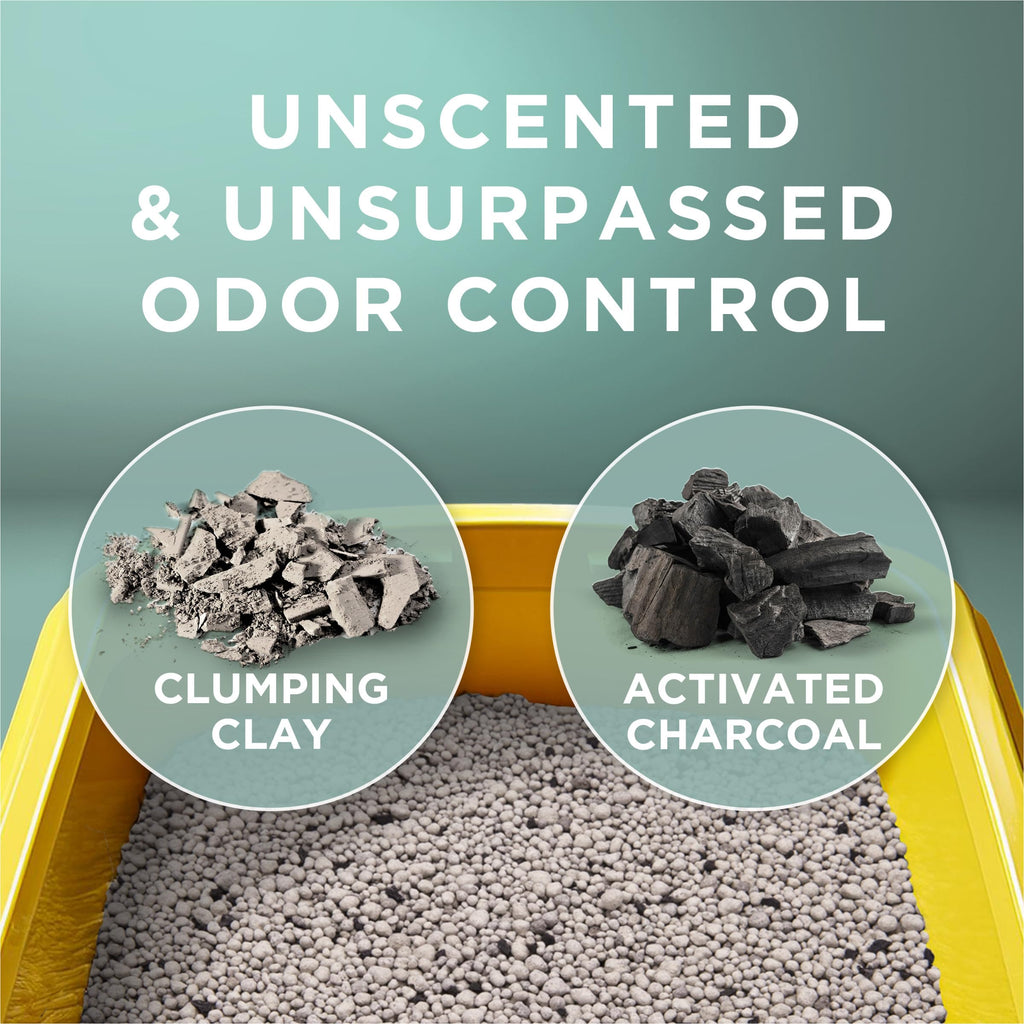 Purina Tidy Cats Free and Clean Unscented Clumping Cat Litter, 38 lb Box | Activated charcoal delivers lasting odor control, made without fragrances or dye, clumping
