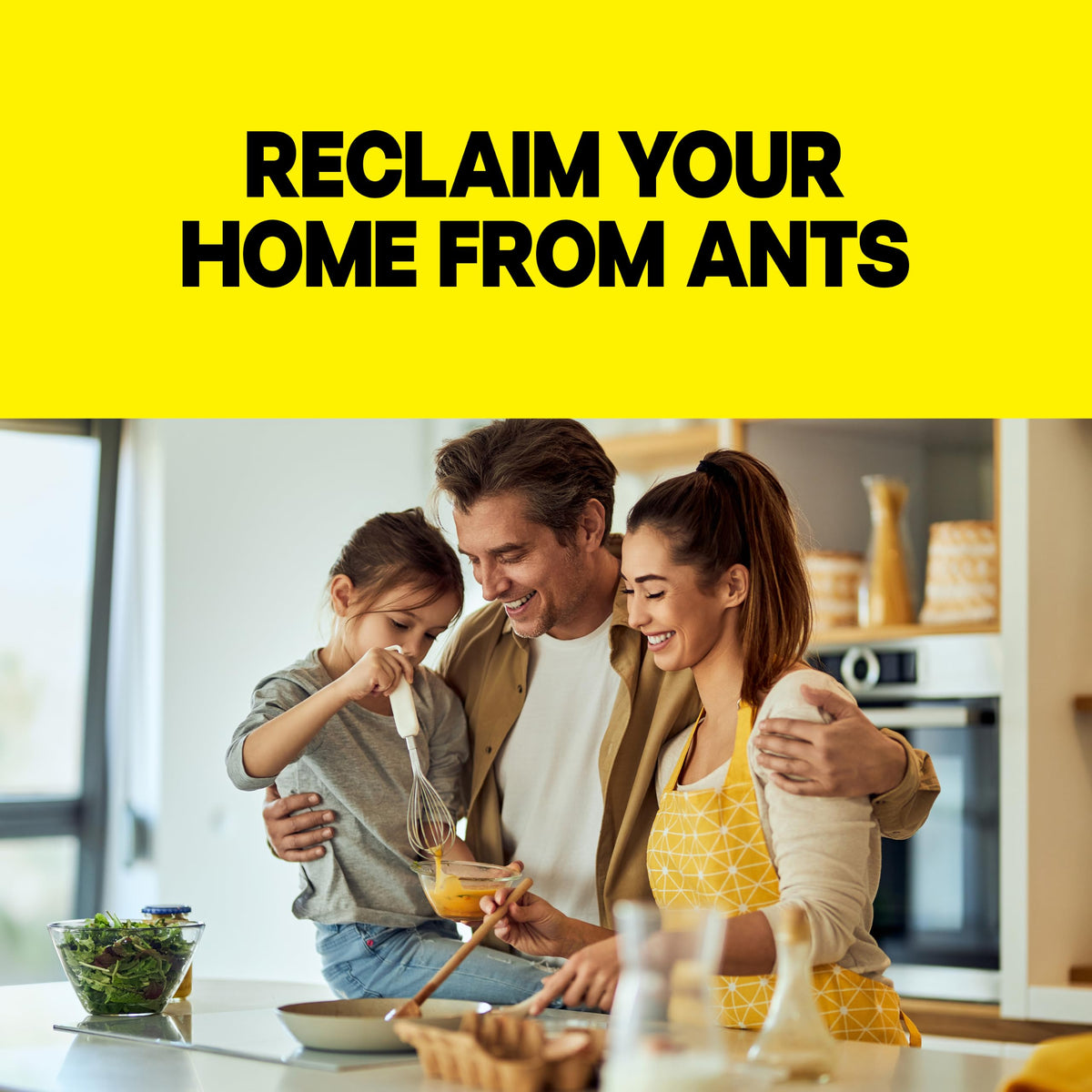Raid Ant Killer Baits, For Household Use, Child Resistant, 8 Count | Kills the Colony, Keeps Killing Ants for Up to 3 Months, For Indoor Home Use