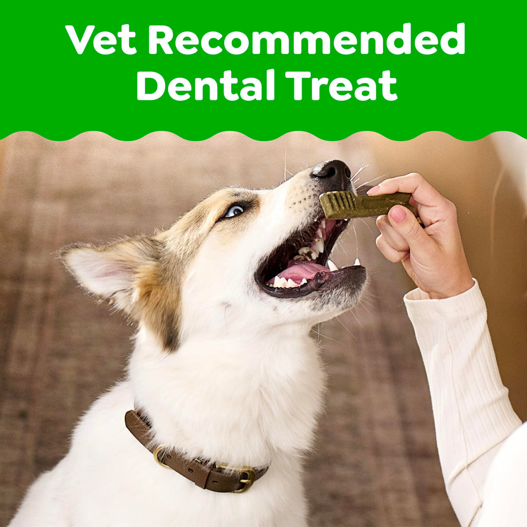 Greenies Regular Dental Dog Treats, Original Chicken Flavor, 36 Count | Veterinarian-recommended, supports oral health & freshens breath, clean to gumline, for dogs 25-50 lbs, chicken flavor