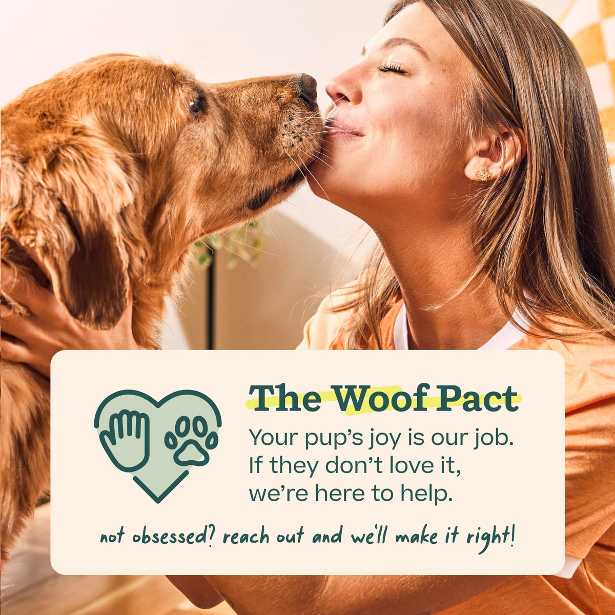 WOOF Pupsicle Peanut Butter & Beef Refill Pops Dog Treats, Large, 7 Count | For large Pupsicles, peanut butter & beef flavor, long-lasting treats, pre-made Pops, wholesome ingredients, shelf stable