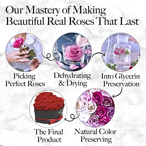 GLAMOUR BOUTIQUE Preserved Flowers, 16 Forever Red Roses in Heart Gift Box | Unique floral present for women, anniversary gifts for her, mom or wife, cute birthday idea, will you be my girlfriend box
