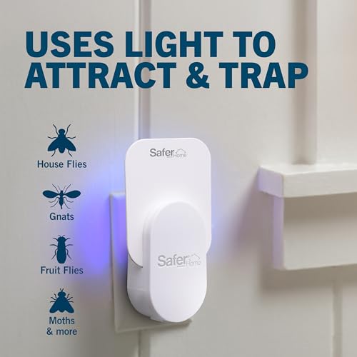 Safer Home Flying Insect Trap, Plug-In Fruit Fly Trap for Indoors, 1-Pack | Flying Insect, Moth, & Gnat Trap, Fruit Fly Killer, Fly Catcher, 24/7 Catch, Chemical-Free, 1 Trap + 2 Glue Cards, SH502