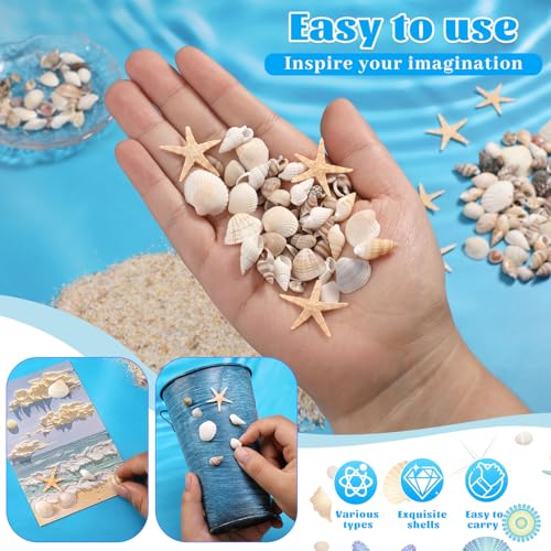 1200 Pcs Tiny Sea Shells, Seashells for Crafts with Small Shells Starfish | Mixed Ocean Beach Spiral Seashells for Beach Party, Fish Tank and Vase Filler, Wedding Decor, DIY Jewelry Candle Making