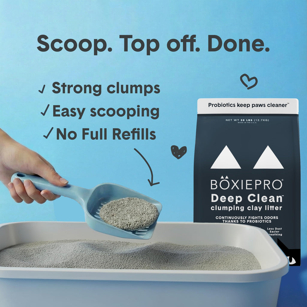 Boxie Probiotic Clumping Cat Litter 40+ Day Odor Control Dust Free 16 lb | Hard Flat Top clumps stay on top for fast scooping and less scrubbing; no added fragrance, fillers, or harsh chemicals