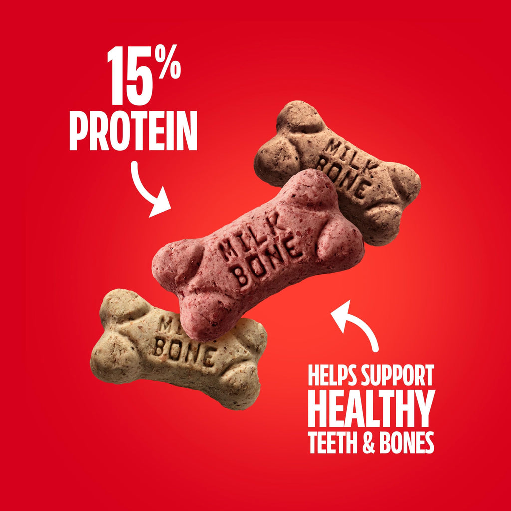 Milk-Bone Flavor Snacks Mini’s Dog Treats, 36 Oz. | 5 calories per treat, 15% protein, 3 flavors per canister (beef, chicken & bacon, naturally & artificially flavored)