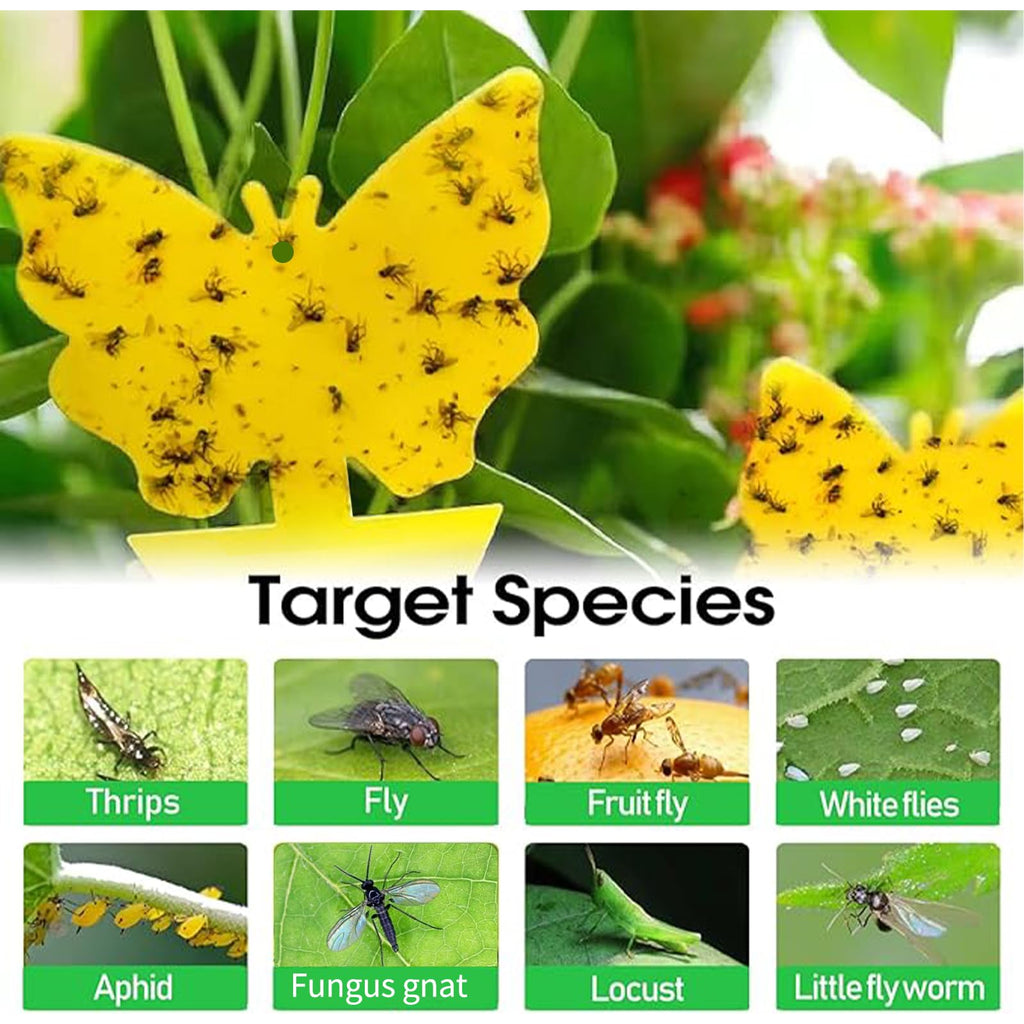 Cleanuper 58 Pack Yellow Sticky Gnat Traps for Plants - Fungus Gnat Killer, Fruit Fly Traps for Indoors, Gnat Sticky Traps for Plants, Family Friendly Design, Sunflower + Butterfly Shapes