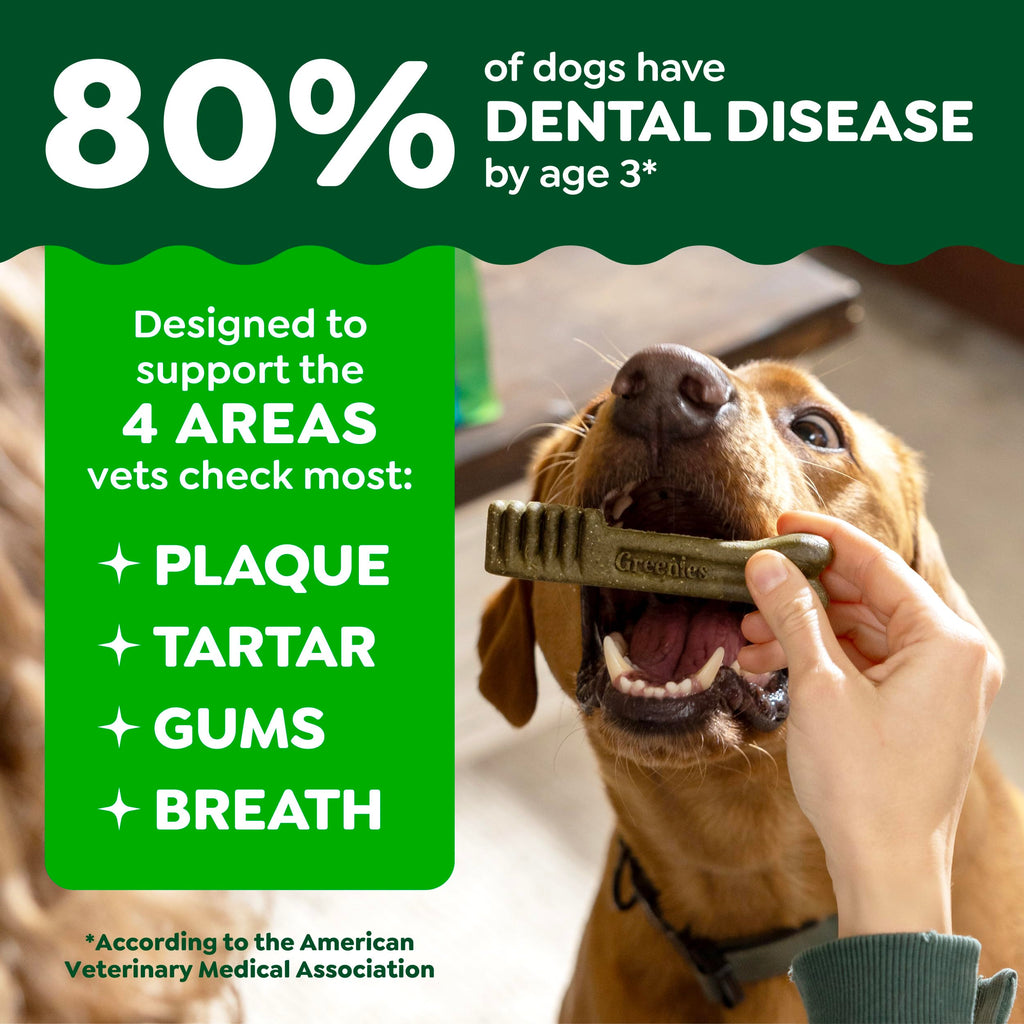 Greenies Large Natural Dental Dog Treats, Original Flavor, 24 Count | Veterinarian-recommended, supports oral health & freshens breath, clean to gumline, for dogs 50-100 lbs, chicken flavor