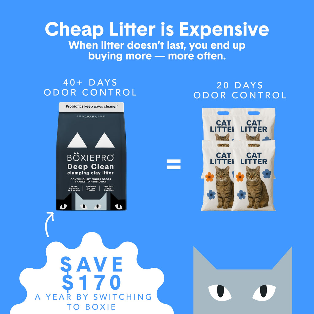 Boxie Probiotic Clumping Cat Litter 40+ Day Odor Control Dust Free 16 lb | Hard Flat Top clumps stay on top for fast scooping and less scrubbing; no added fragrance, fillers, or harsh chemicals
