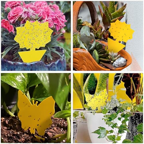 Cleanuper 58 Pack Yellow Sticky Gnat Traps for Plants - Fungus Gnat Killer, Fruit Fly Traps for Indoors, Gnat Sticky Traps for Plants, Family Friendly Design, Sunflower + Butterfly Shapes