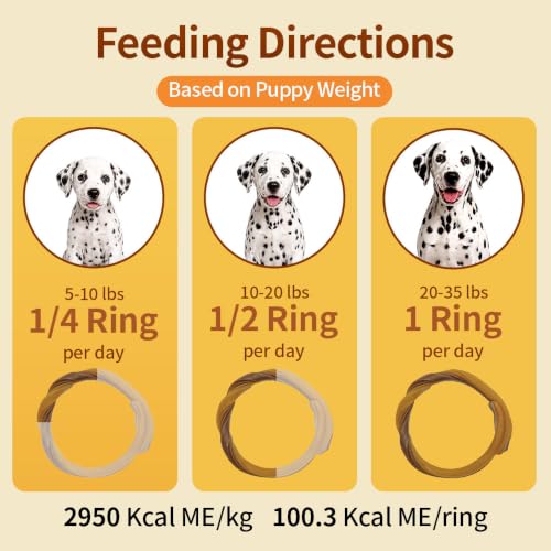 N-Bone Puppy Teething Rings, Pumpkin Flavor, Natural Puppy Teething Chews & Chew Treats, Helps Soothe Teething Gums, Calcium Enriched, 6 Rings