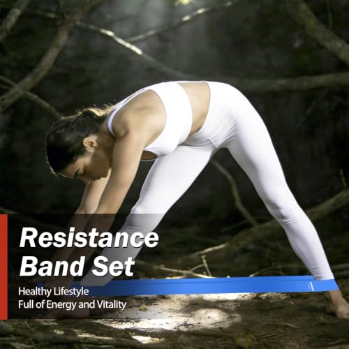 Resistance Bands for Working Out, 5 Levels Exercise Bands Set