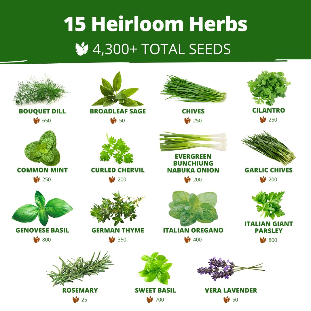 HOME GROWN 15 Herb Seed Variety Kit, 4300+ Seeds, Culinary Herb Kit | High Germination, Heirloom, Non-GMO | 4300+ Seeds | Indoor/Outdoor & Hydroponic | Culinary Herbs | Gardening Gift