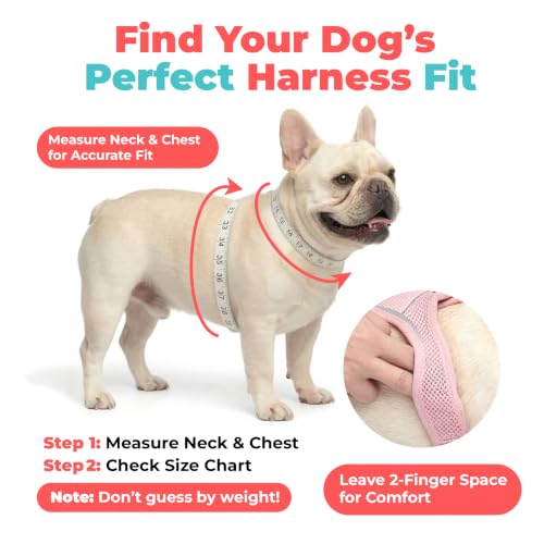 Voyager Step-in Air Dog Vest Harness - Moss Green, Small | 14.5-16" in Chest, Reflective Bands, All Weather Breathable Air Mesh, Cats Compatible, Lightweight, Fast Drying