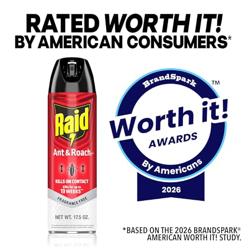 Raid Ant & Roach Killer Bug Spray, Fragrance Free, 17.5 oz, 2 Count | Kills Ants & Roaches on Contact, Keeps Killing For Up to 13 Weeks, For Home Use, No Lingering Chemical Odor