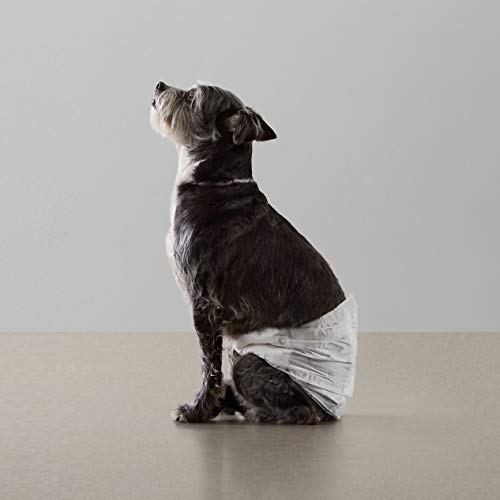Amazon Basics Leak-Proof, Super Absorbent Male Dog Diapers with Wetness Indicator, Comfortable Design, Breathable Disposable Wrap, Secure Fit, Small, 30 Count