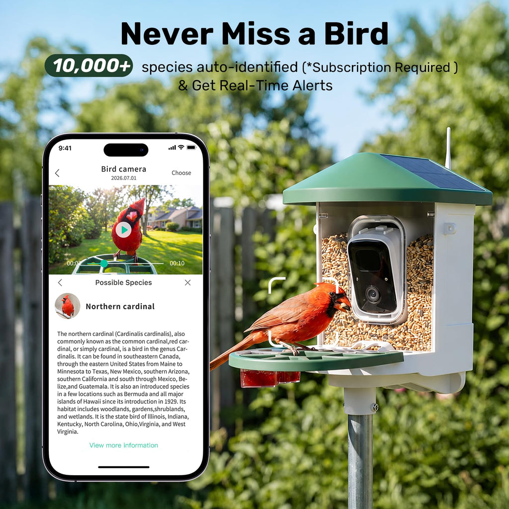 HARYMOR Smart Bird Feeder with Camera Solar Powered, 2K HD Live Video, 10,000+ Bird Species AI Identification, Wild Bird House Feeders for Outdoors, Instant Arrival Alerts, Ideal Gift for Bird Lovers