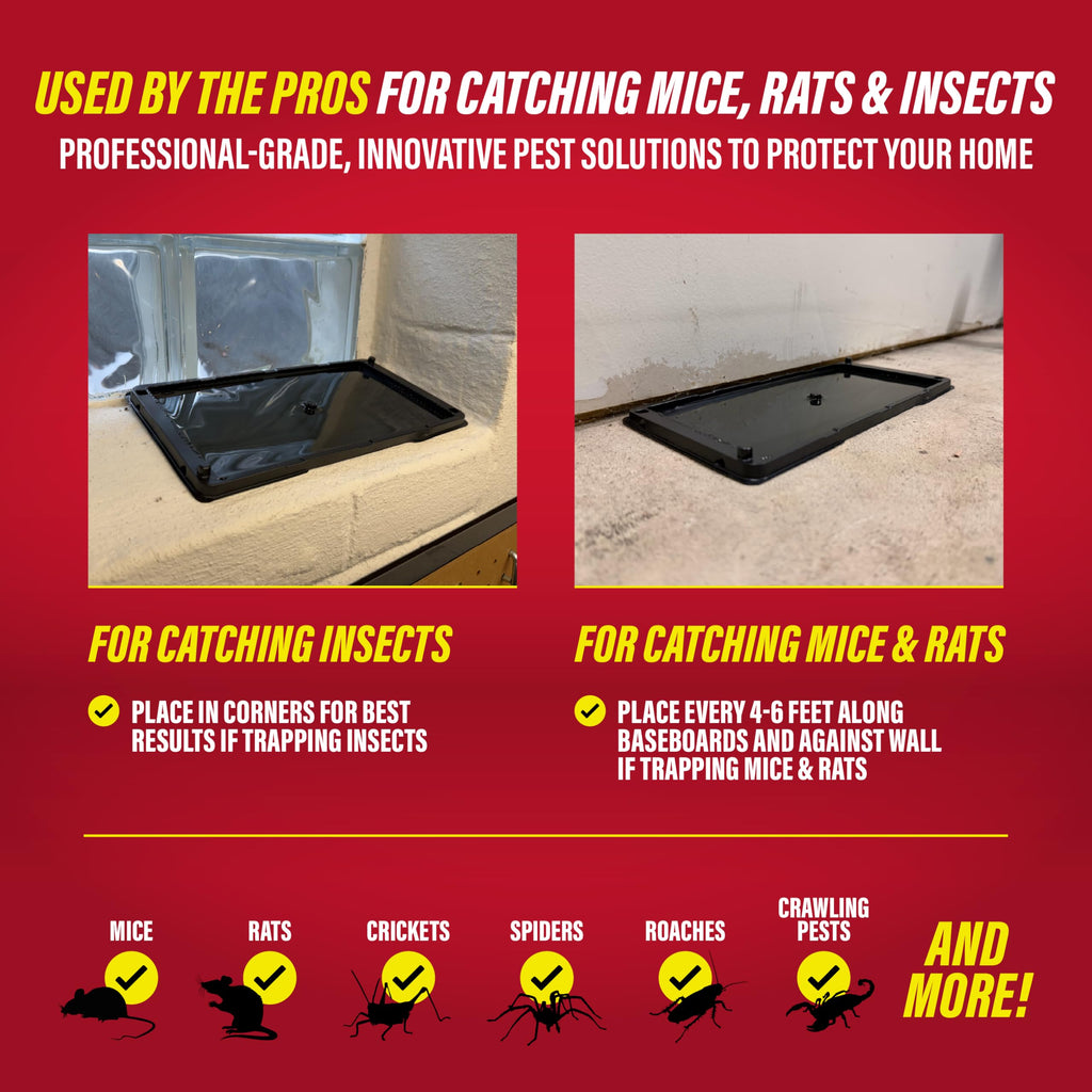 Catchmaster Rat & Mouse Glue Traps 10 Pack, Large Heavy Duty Sticky Traps | Extra Large Glue Trays For Rats, Mice, Snakes & Spiders, Ready To Use Indoor Pest Control For Home, Garage & Basement