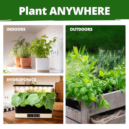HOME GROWN 15 Herb Seed Variety Kit, 4300+ Seeds, Culinary Herb Kit | High Germination, Heirloom, Non-GMO | 4300+ Seeds | Indoor/Outdoor & Hydroponic | Culinary Herbs | Gardening Gift