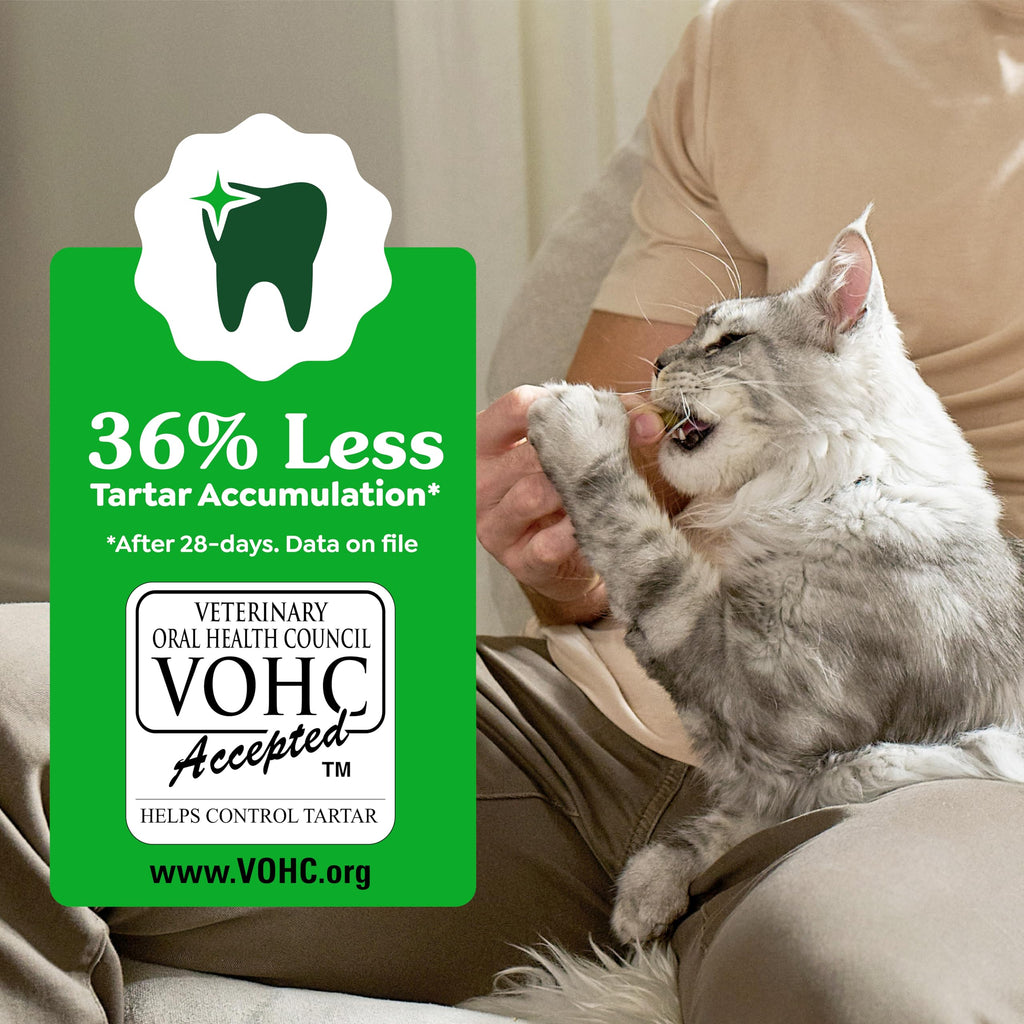 Greenies Feline Natural Dental Cat Treats, Roasted Chicken Flavor, 9.75 oz | #1 vet-recommended, clinically-proven oral care, cleans teeth and freshens breath, cleans to gumline, natural ingredients