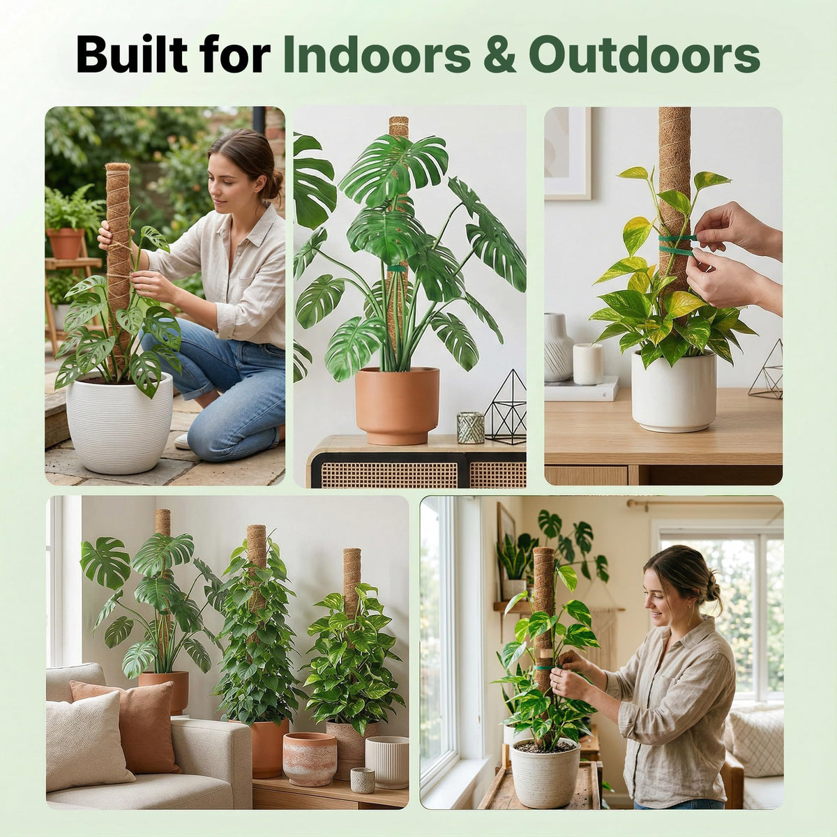 4 Pack 16" Moss Pole Monstera Plant Support - Stackable up to 48" | Plant Stakes for Indoor Climbing Plants Potted - Tall Coco Coir Pole Sticks & Accessories for Monstera, Pothos & Philodendron