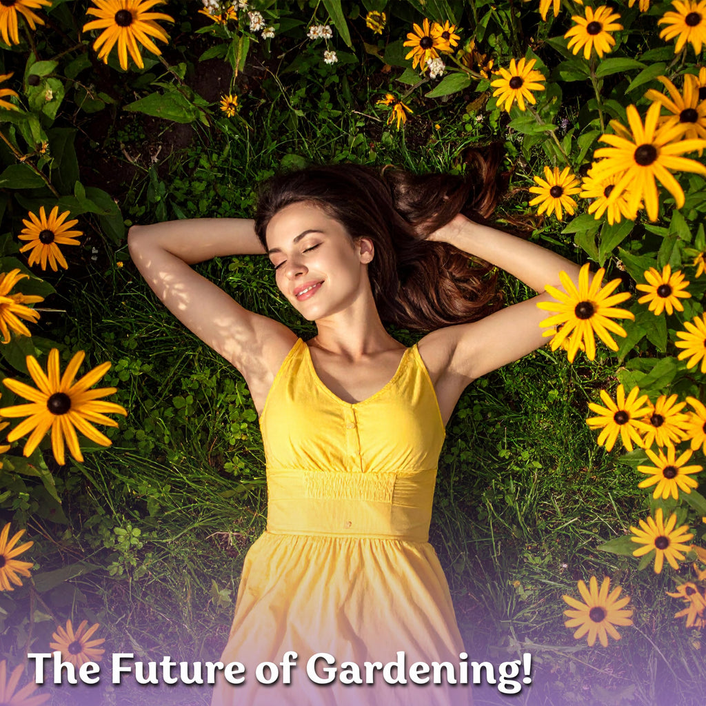 10,000 Black Eyed Susan Heirloom Flower Seeds for Planting, Rudbeckia Hirta | Gloriosa Daisy Wildflower Seeds, Flower Seeds for Planting Outside, Borders, Containers, Attracts Pollinators