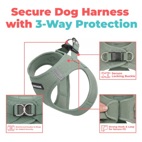 Voyager Step-in Air Dog Vest Harness - Moss Green, Small | 14.5-16" in Chest, Reflective Bands, All Weather Breathable Air Mesh, Cats Compatible, Lightweight, Fast Drying
