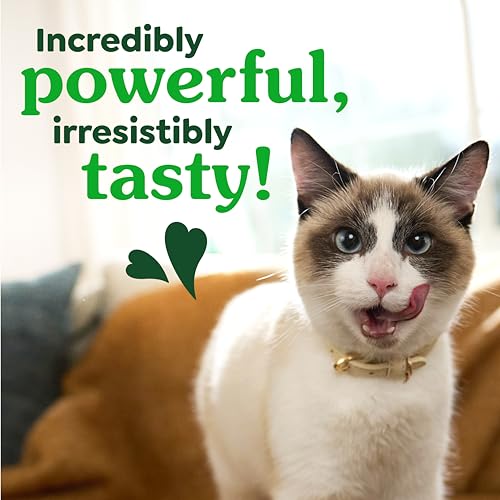 Greenies Feline Natural Dental Cat Treats, Roasted Chicken Flavor, 9.75 oz | #1 vet-recommended, clinically-proven oral care, cleans teeth and freshens breath, cleans to gumline, natural ingredients