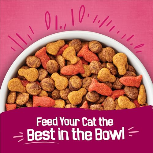 Purina Friskies Gravy Swirlers Dry Cat Food, Chicken & Salmon, 3.15 lb Bag | Protein-packed cat food kibble with swirls of delicious gravy baked in, supports immune and heart health