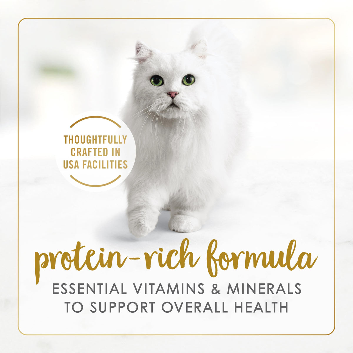 Purina Fancy Feast Gravy Lovers Wet Cat Food, 3 oz Cans, 30-Pack | Variety Pack with poultry and beef grilled gourmet recipes, made with no artificial colors or preservatives