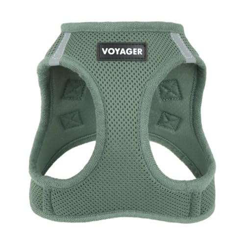 Voyager Step-in Air Dog Vest Harness - Moss Green, Small | 14.5-16" in Chest, Reflective Bands, All Weather Breathable Air Mesh, Cats Compatible, Lightweight, Fast Drying
