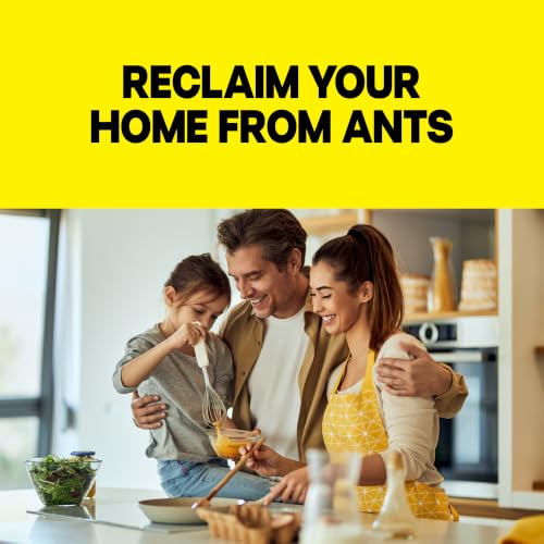 Raid Ant Killer Baits, For Household Use, Child Resistant, 8 Count | Kills the Colony, Keeps Killing Ants for Up to 3 Months, For Indoor Home Use