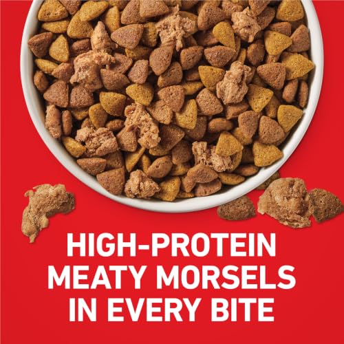 Purina ONE Lamb and Rice Formula Dry Dog Food for Digestive Support | Dog food with real lamb as first ingredient, Microbiome Balanced and prebiotic fiber, supports digestive health