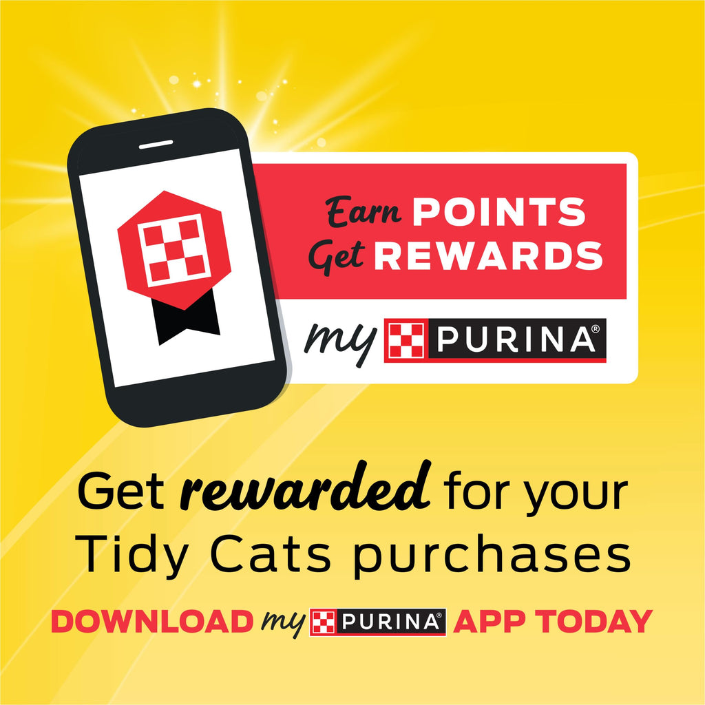 Purina Tidy Cats Free and Clean Unscented Clumping Cat Litter, 38 lb Box | Activated charcoal delivers lasting odor control, made without fragrances or dye, clumping