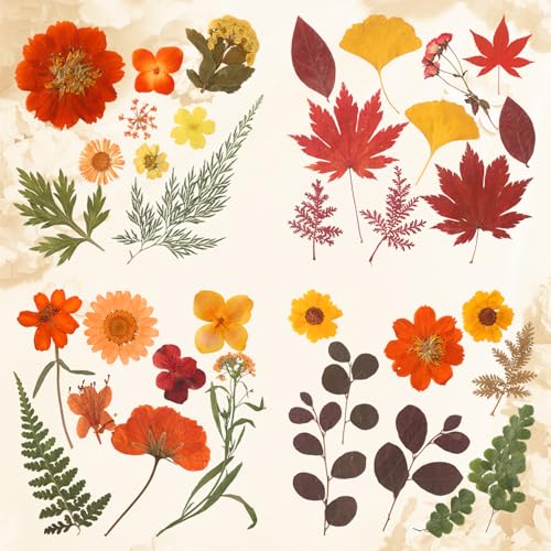 Augshy Fall Dried Pressed Flowers and Leaves for Autumn Crafts Resin DIY | Real Pressed Flowers, Ideal for Scrapbooking Candle Making,Autumn Foliage Colors,100 Pcs Craft Set