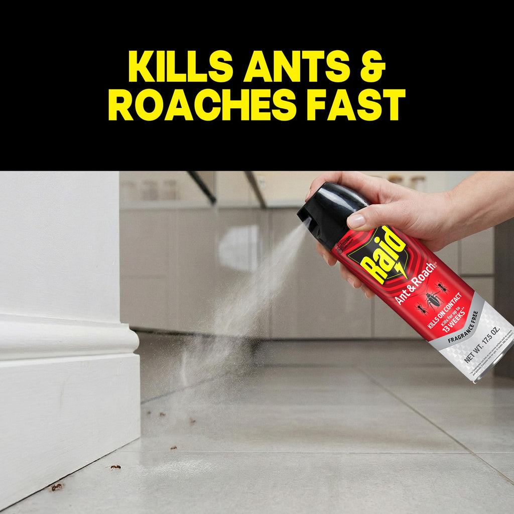 Raid Ant & Roach Killer Bug Spray, Fragrance Free, 17.5 oz, 2 Count | Kills Ants & Roaches on Contact, Keeps Killing For Up to 13 Weeks, For Home Use, No Lingering Chemical Odor